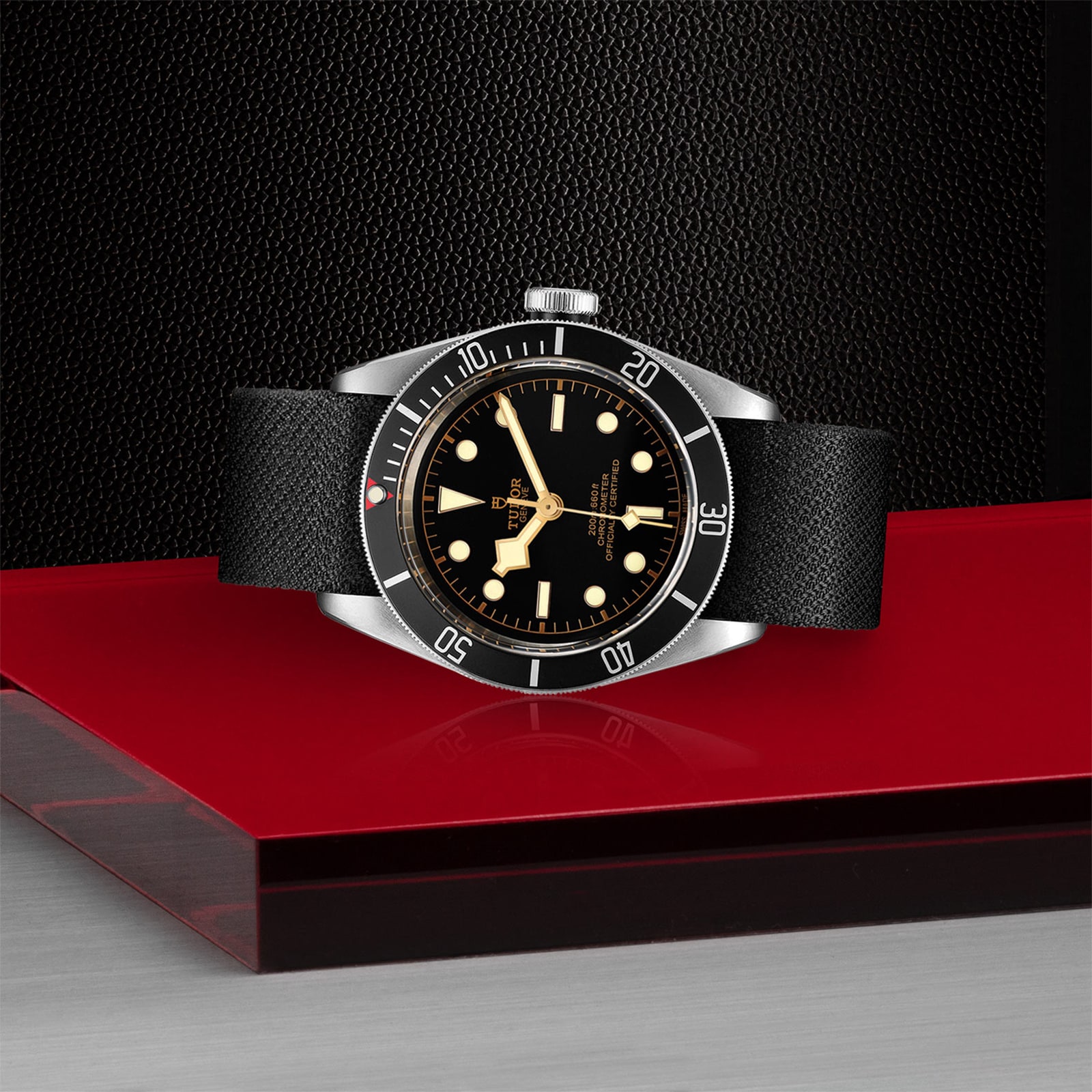 Tudor Black Bay M79230N-0005 | 41mm Stainless Steel Automatic Watch - Image 3