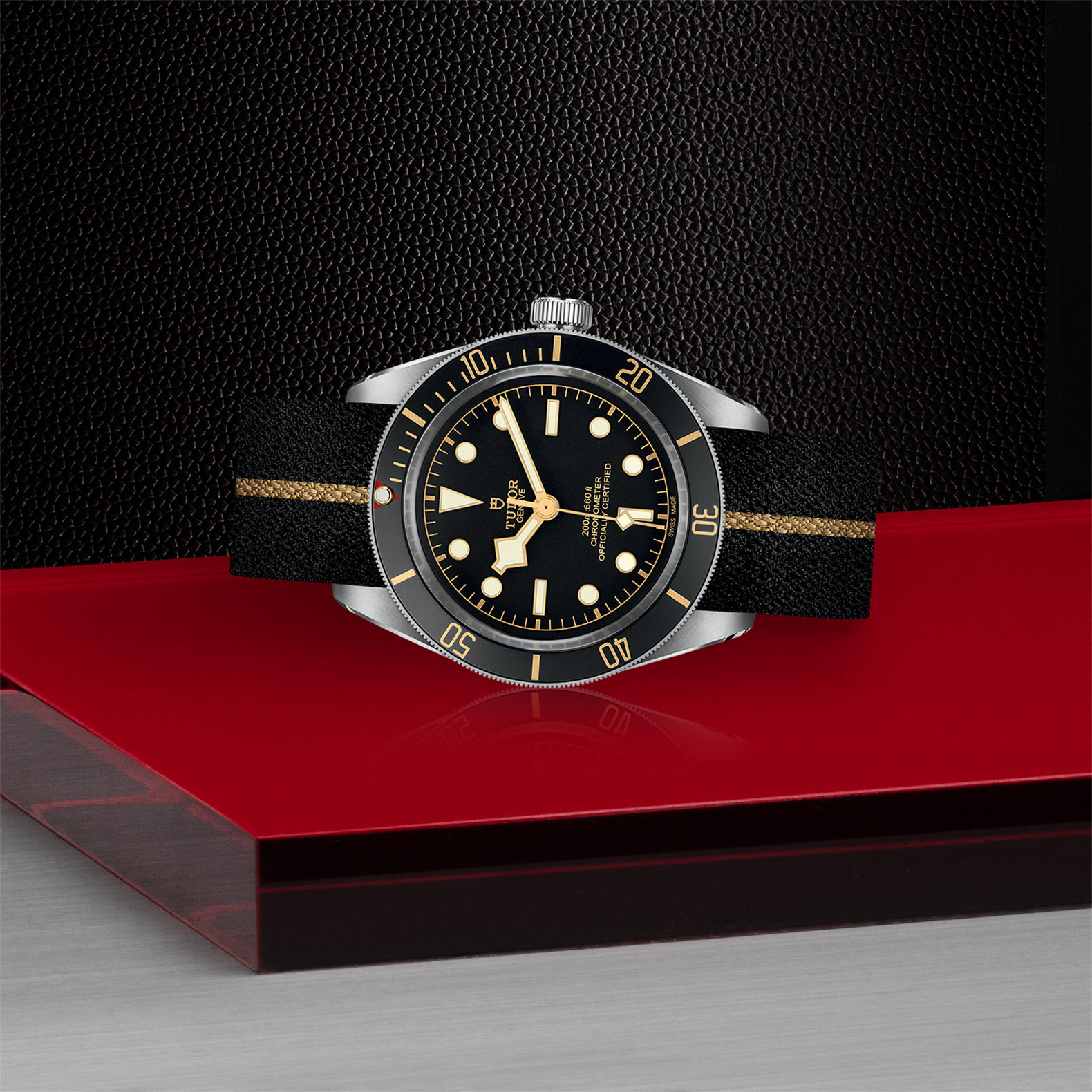 Tudor Black Bay M79030N-0003 | 39mm Automatic | 200M Water Resistant - Image 3