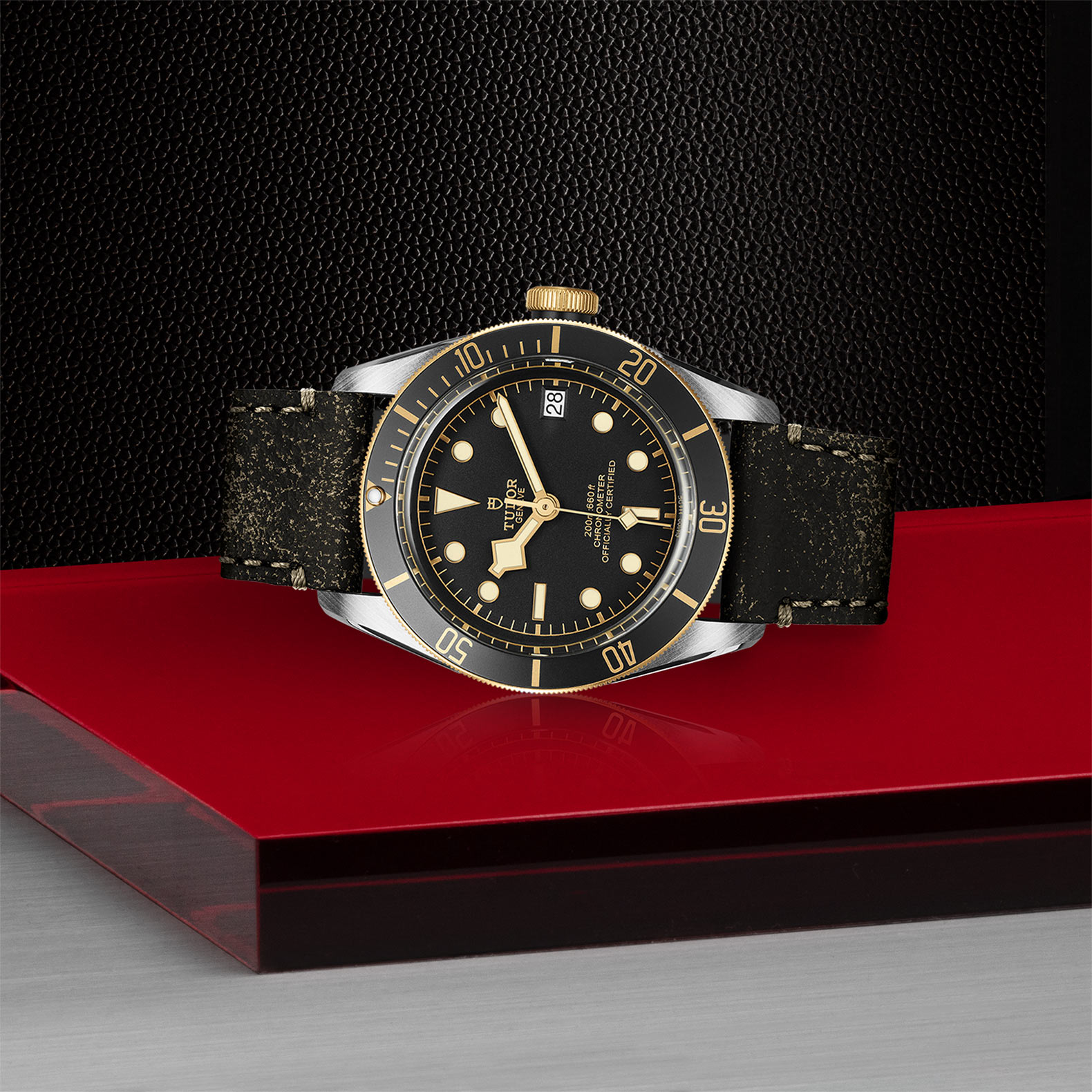 Tudor Black Bay M79733N-0007 | 41mm Steel & Gold Automatic Watch - Image 3