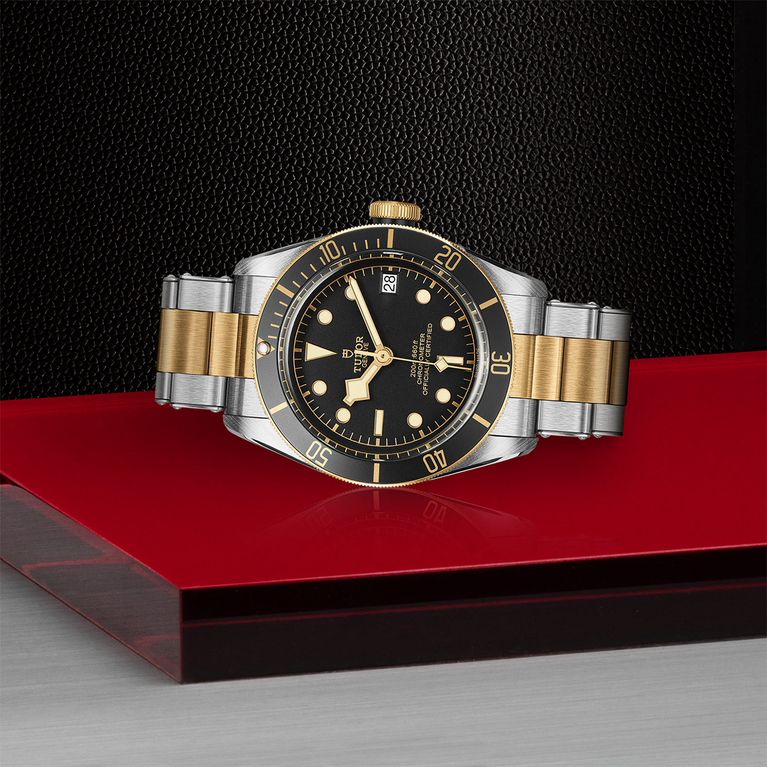 Tudor Black Bay M79733N-0008 | 41mm Steel & Gold Automatic Watch - Image 3