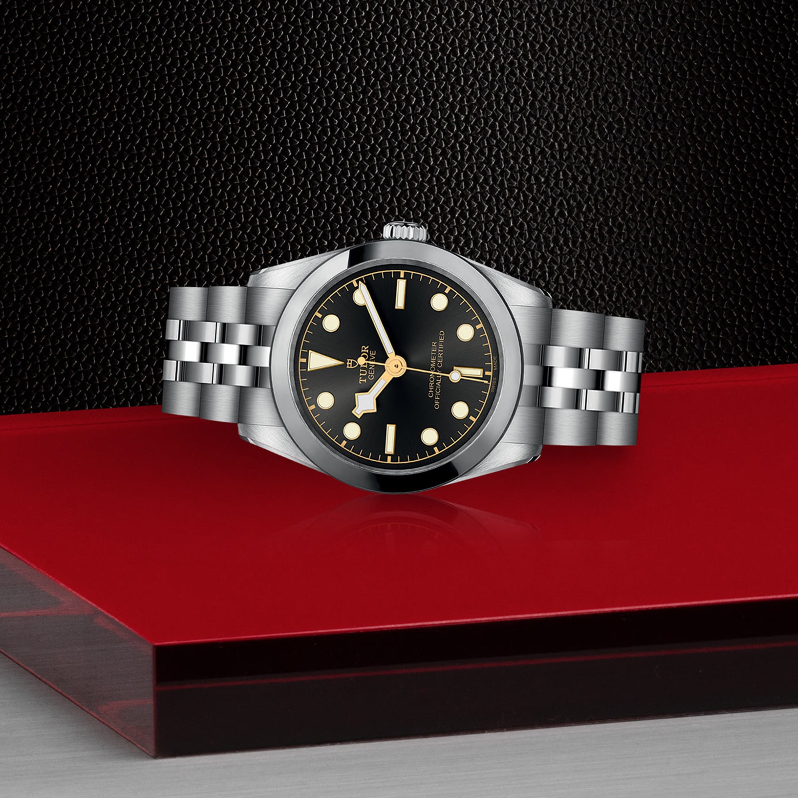 Tudor Black Bay M79600-0001 | 31mm Grey Dial | Automatic Steel Watch - Image 3