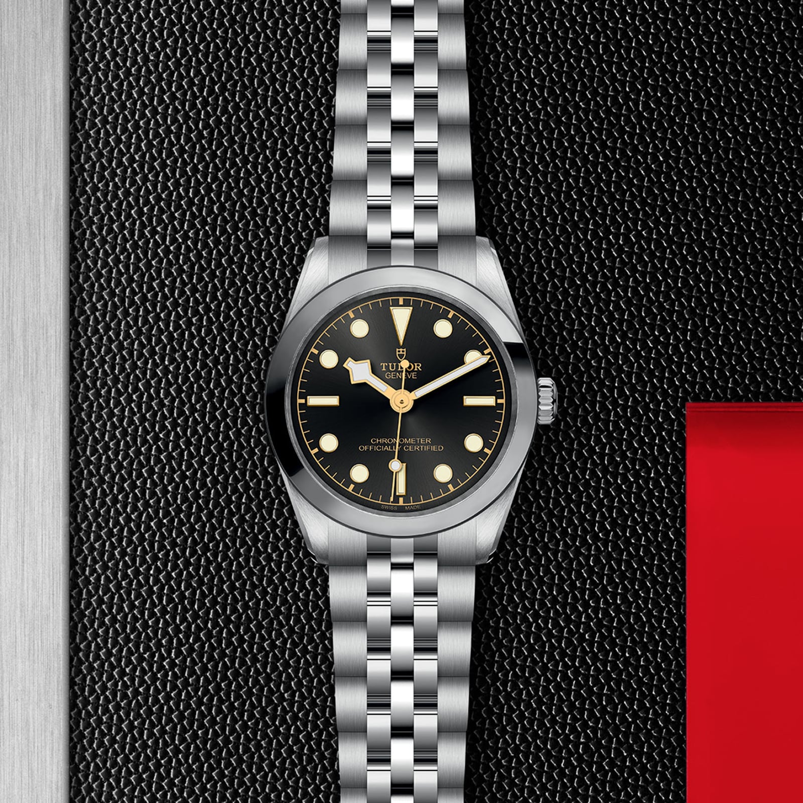 Tudor Black Bay M79600-0001 | 31mm Grey Dial | Automatic Steel Watch - Image 4