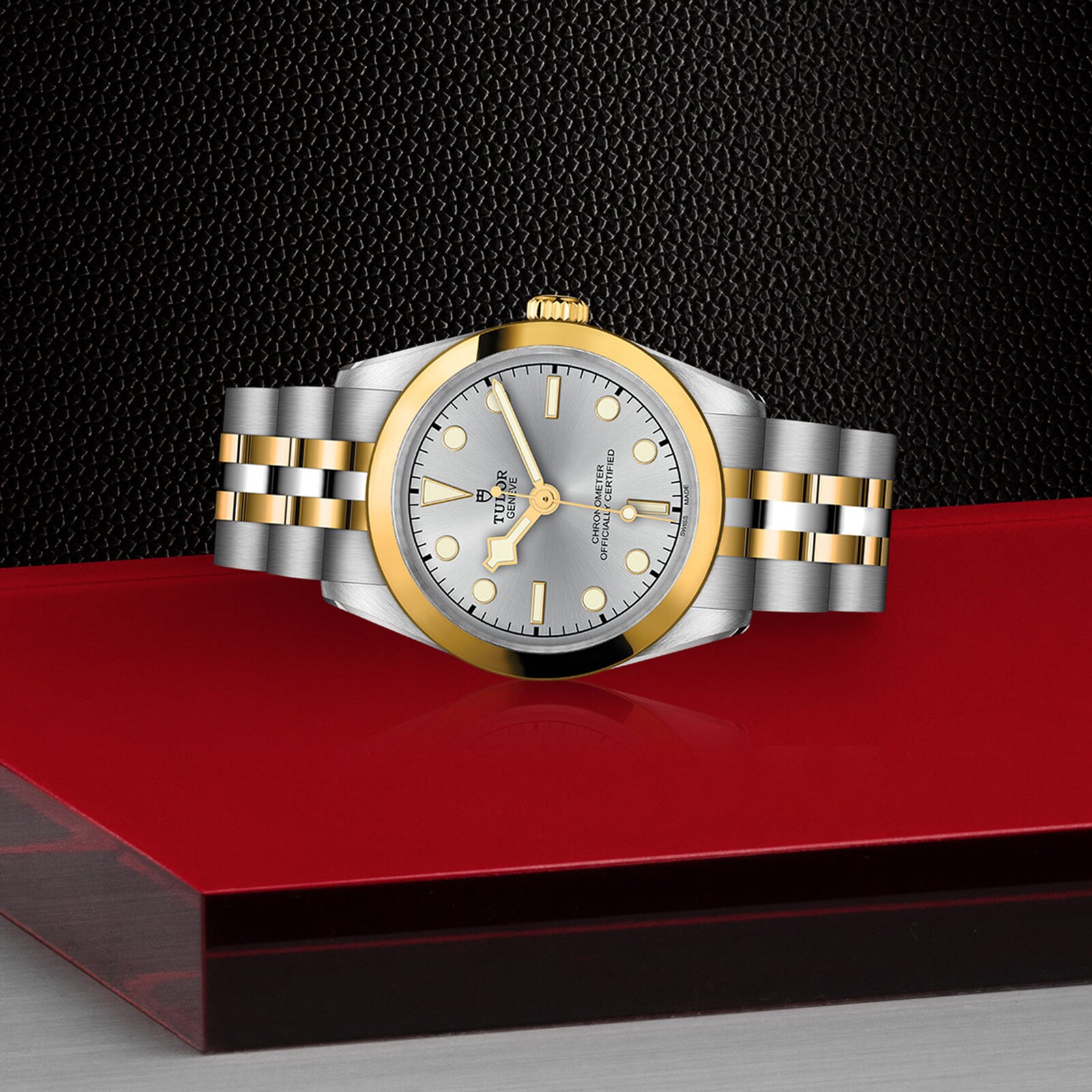 Tudor Black Bay M79603-0002 | 31mm Silver Dial | Automatic Replica Watch - Image 3