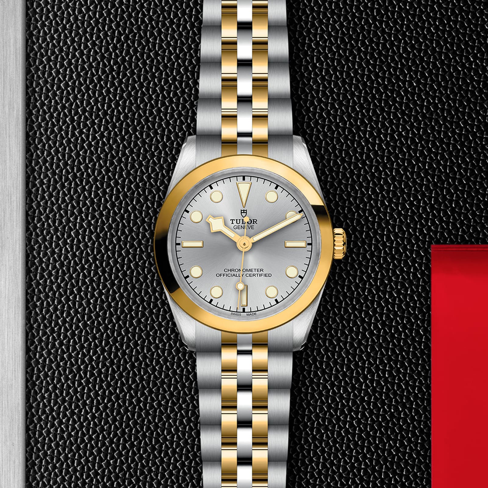 Tudor Black Bay M79603-0002 | 31mm Silver Dial | Automatic Replica Watch - Image 4