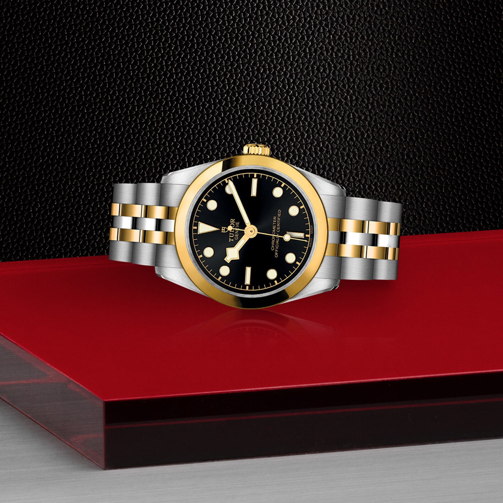 Tudor Black Bay M79603-0001 | 31mm Automatic | Steel & Gold Replica - Image 3