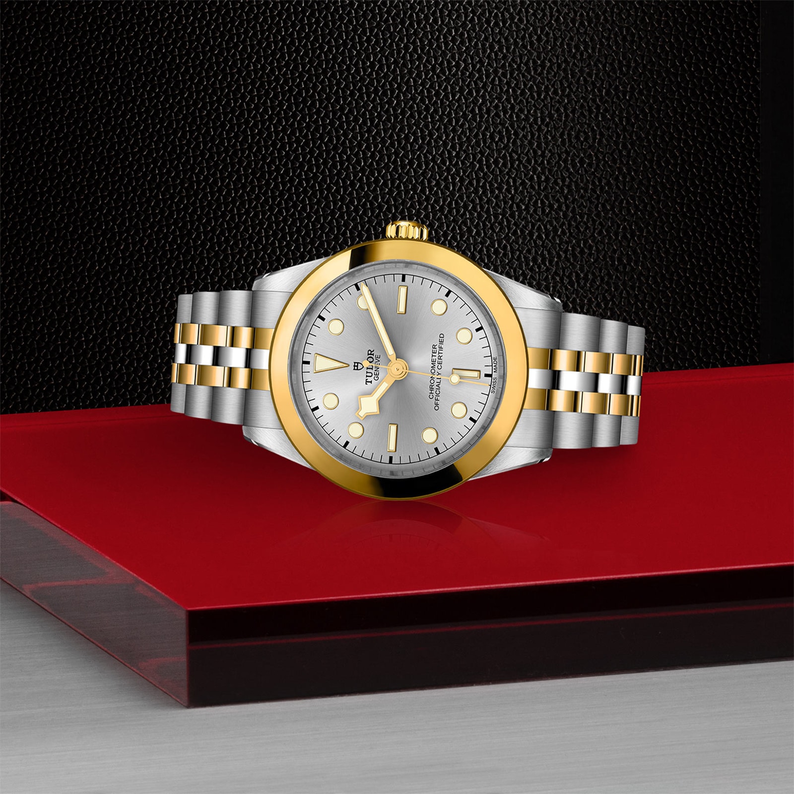 Tudor Black Bay M79663-0002 | 39mm Automatic Silver Dial | Steel & Gold - Image 3