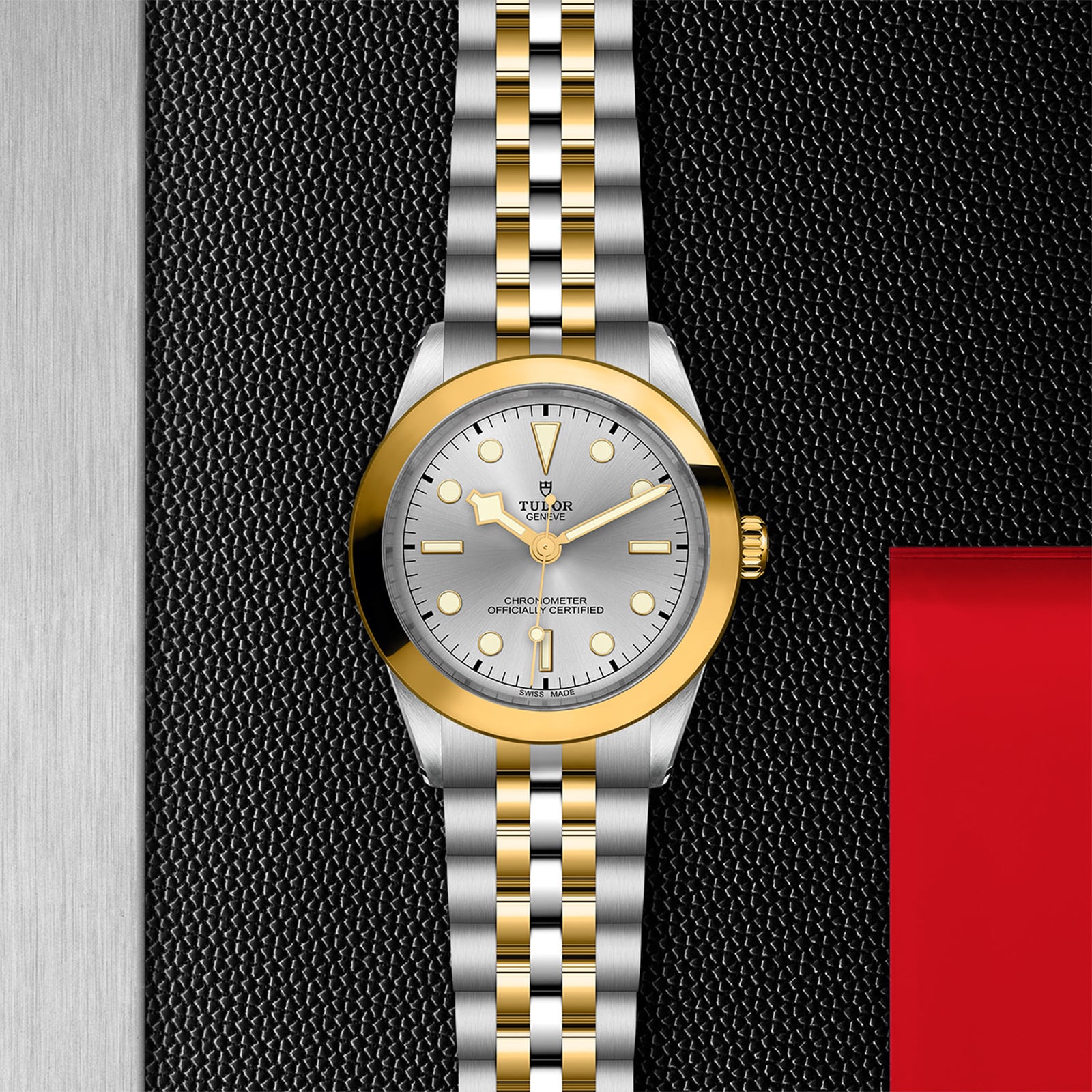 Tudor Black Bay M79663-0002 | 39mm Automatic Silver Dial | Steel & Gold - Image 4