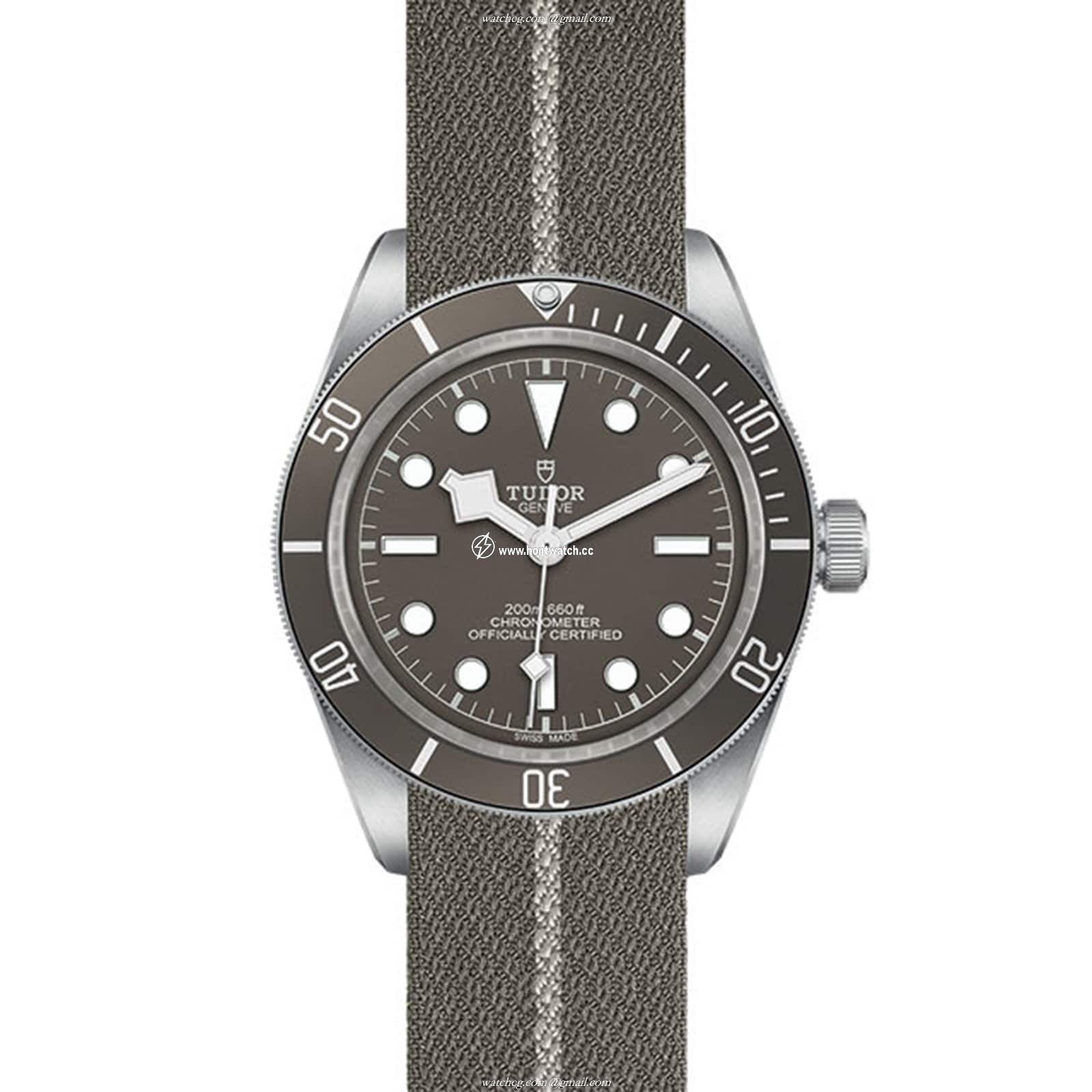 Tudor Black Bay M79010SG-0002 Silver Automatic Watch | 39mm Taupe Dial - Image 2