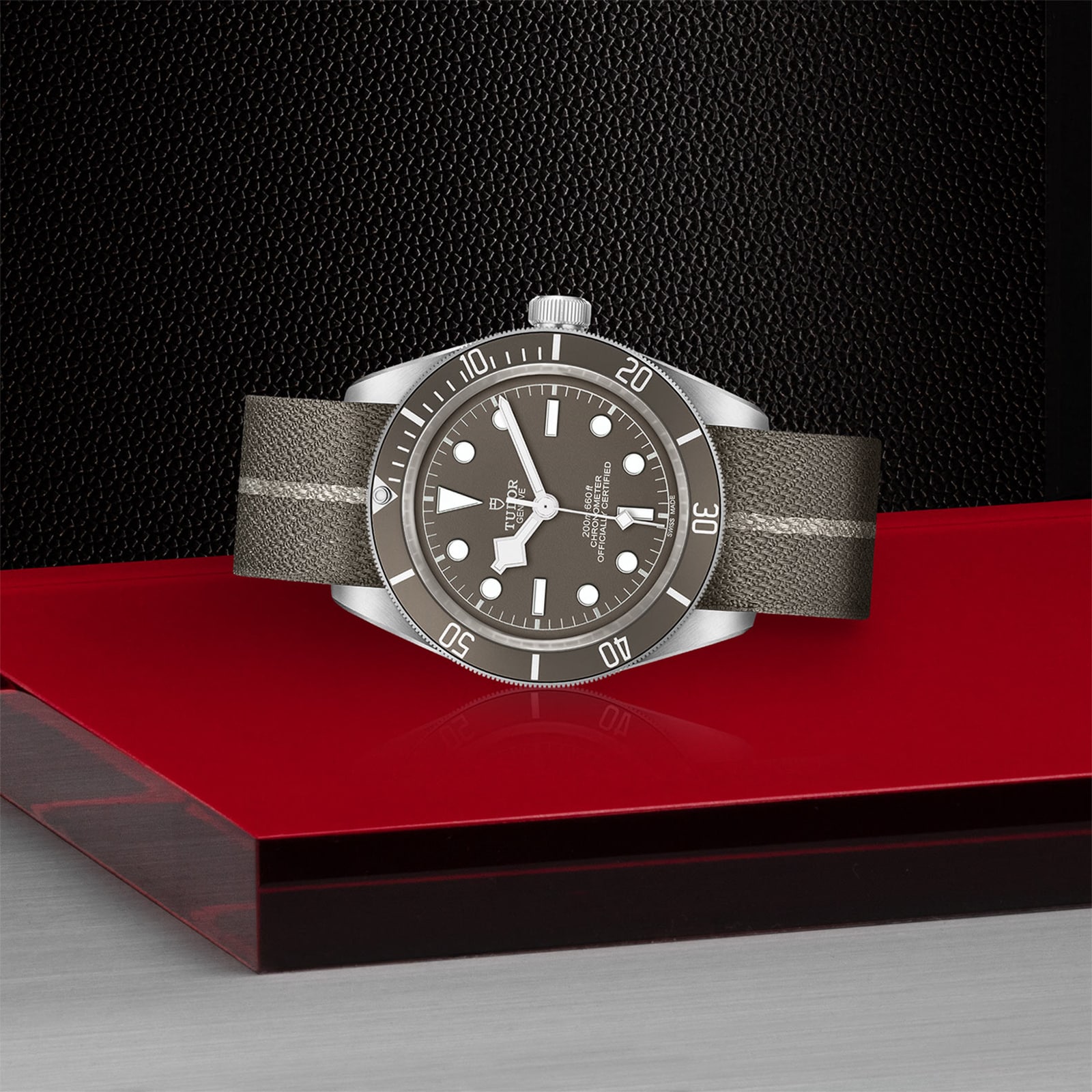 Tudor Black Bay M79010SG-0002 Silver Automatic Watch | 39mm Taupe Dial - Image 3