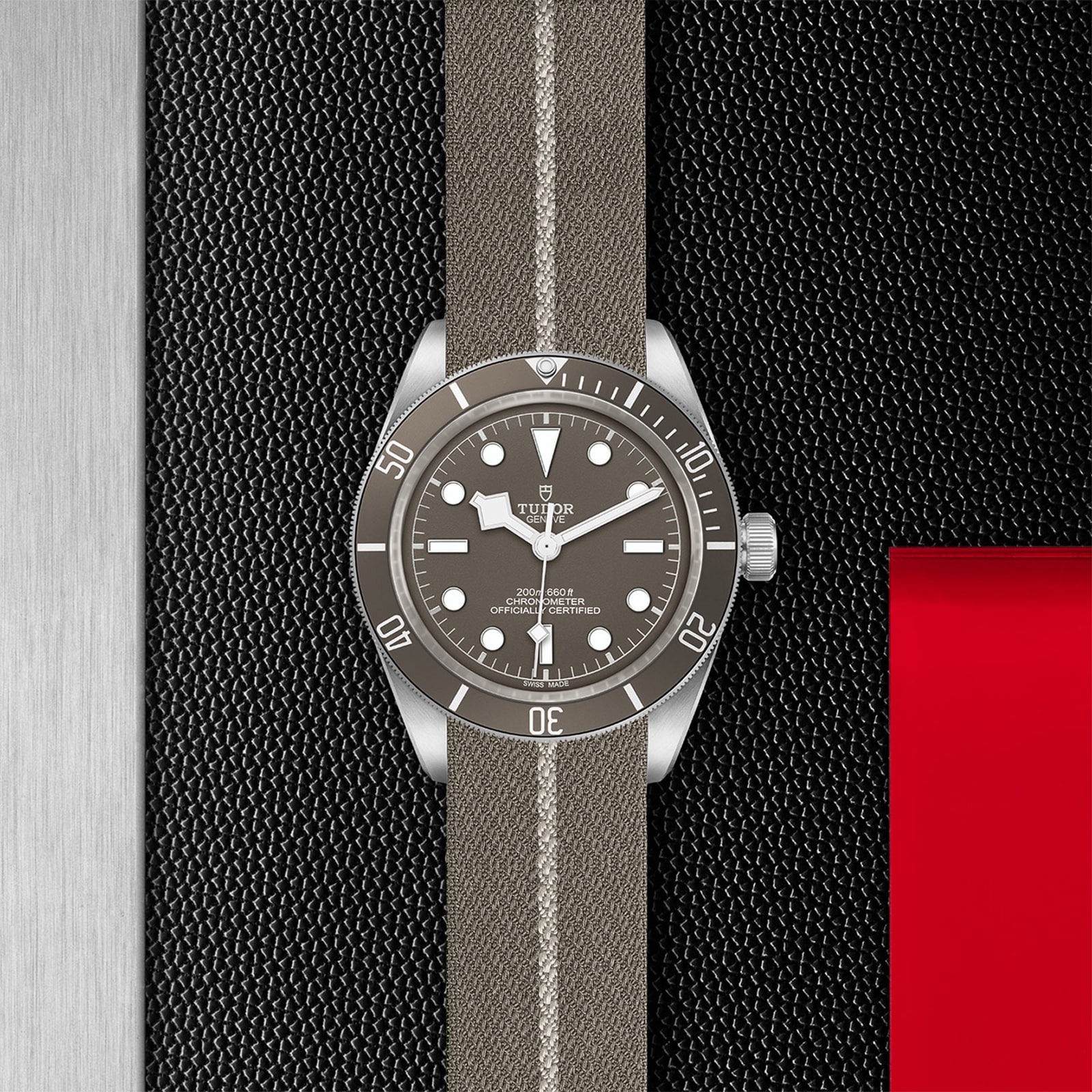 Tudor Black Bay M79010SG-0002 Silver Automatic Watch | 39mm Taupe Dial - Image 4