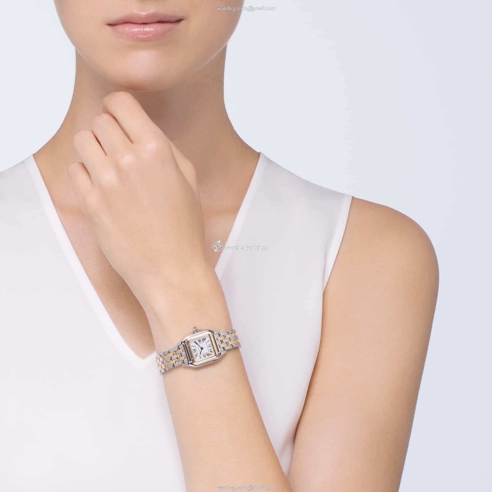 Cartier Panthere de Cartier W2PN0006 | Steel & Yellow Gold | Quartz Silver Dial - Image 2