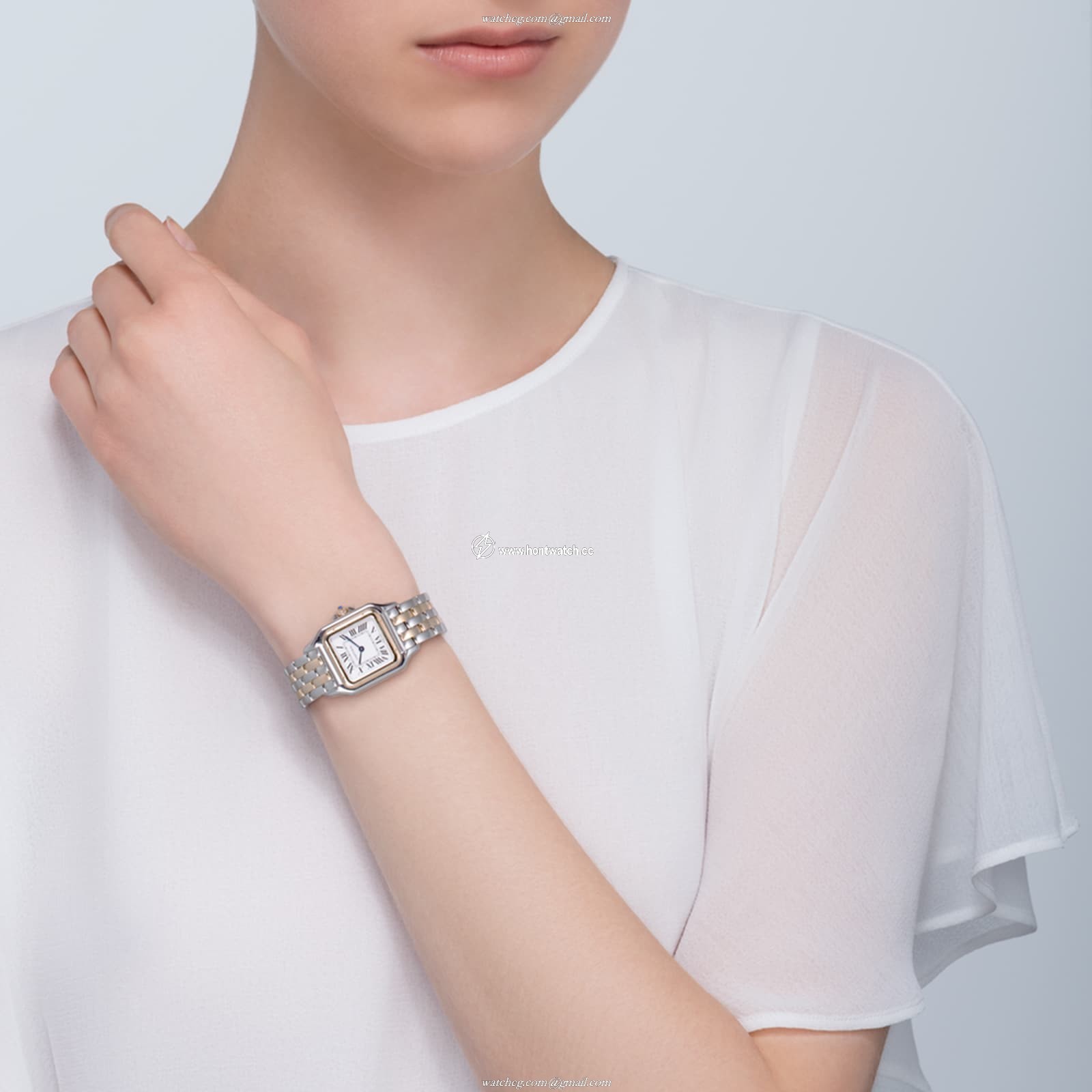 Cartier Panthere de Cartier W2PN0007 | 27mm Steel & Yellow Gold Quartz Watch - Image 2