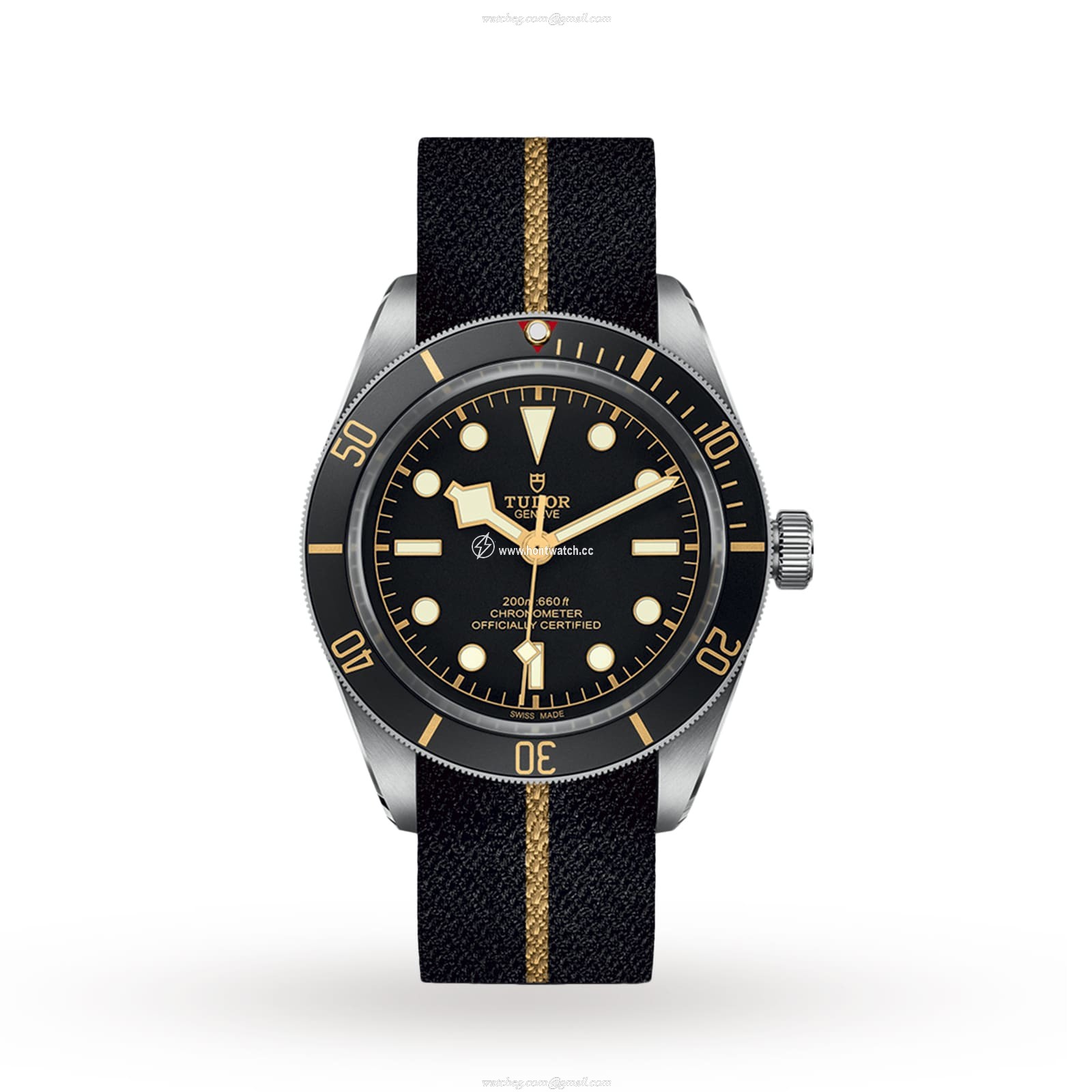 Tudor Black Bay M79030N-0003 | 39mm Automatic | 200M Water Resistant