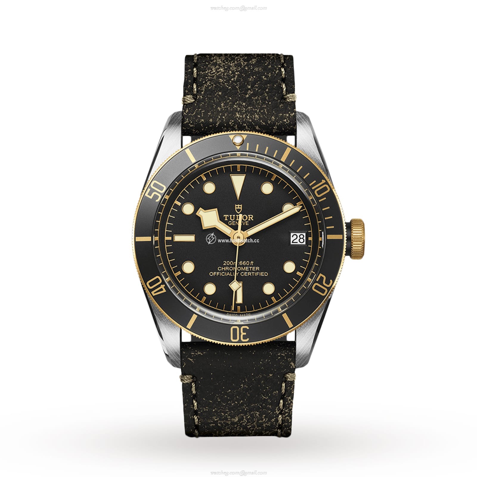 Tudor Black Bay M79733N-0007 | 41mm Steel & Gold Automatic Watch