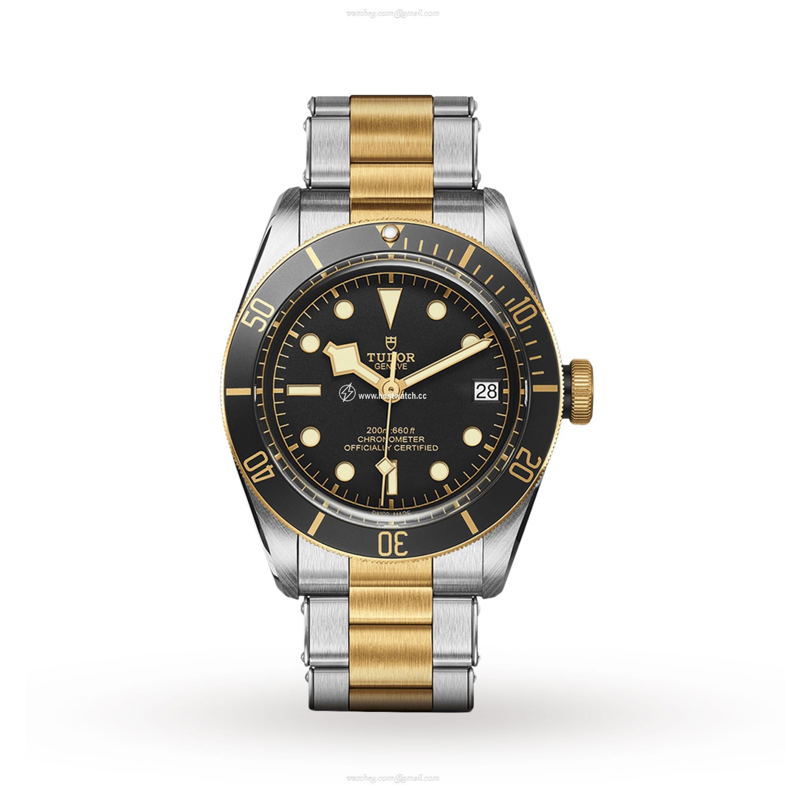 Tudor Black Bay M79733N-0008 | 41mm Steel & Gold Automatic Watch