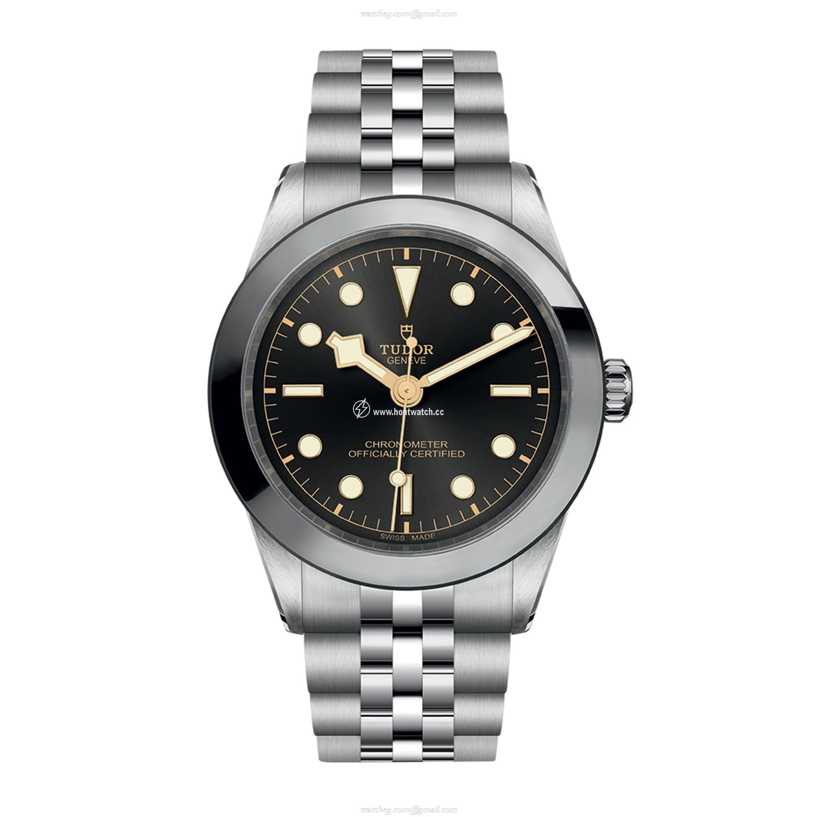 Tudor Black Bay M79660-0001 | 39mm Grey Dial | Automatic Watch