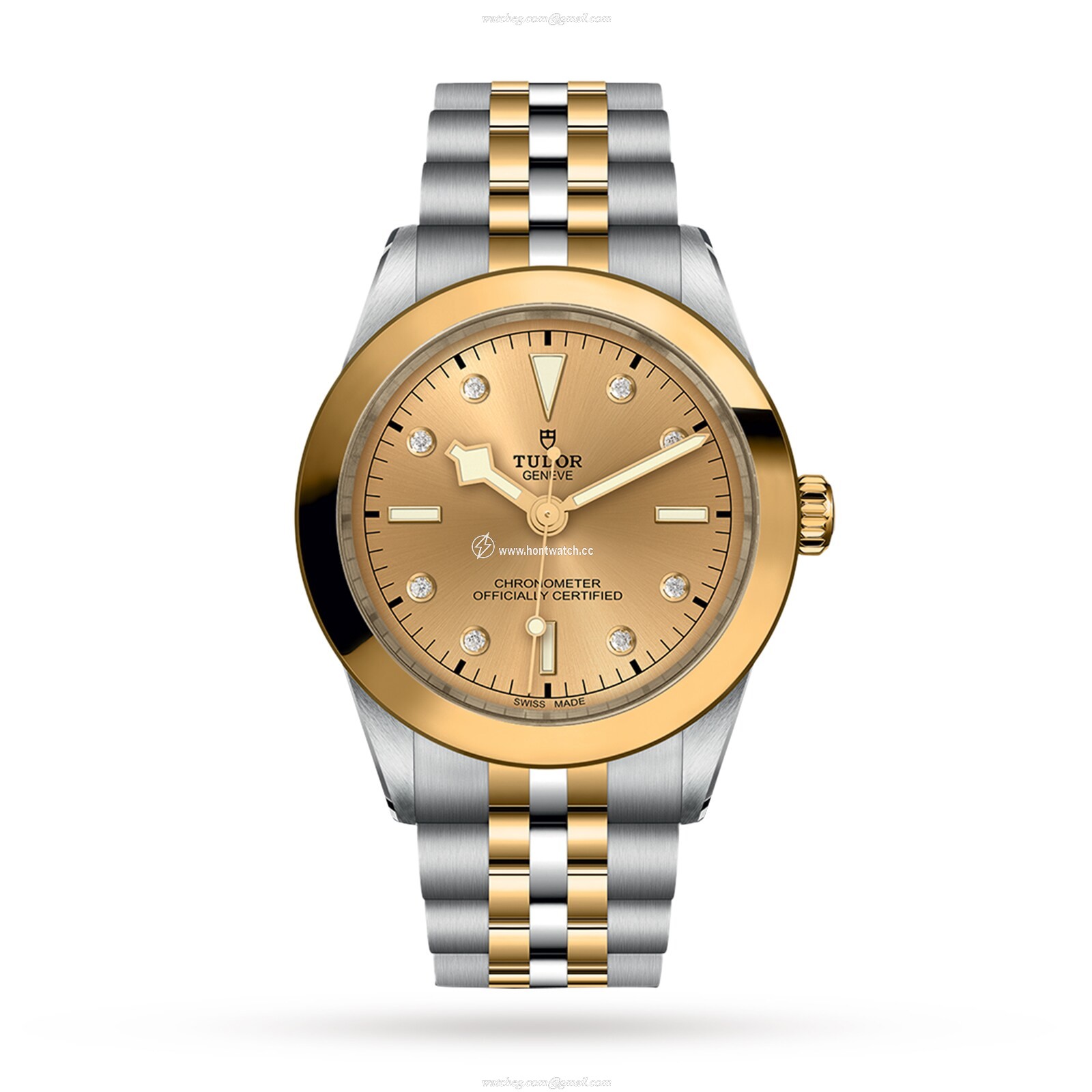 Tudor Black Bay M79663-0008 | 39mm Steel & Gold Automatic Watch