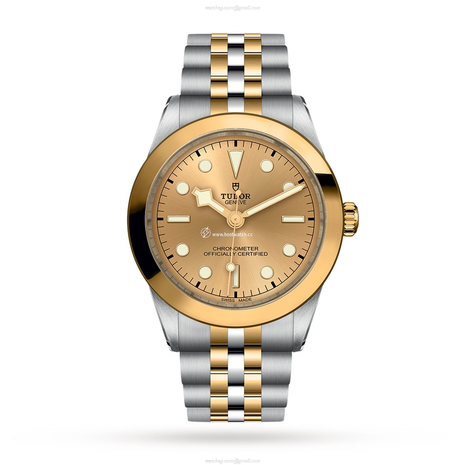 Tudor Black Bay M79663-0005 | 39mm Steel & Gold Automatic Watch
