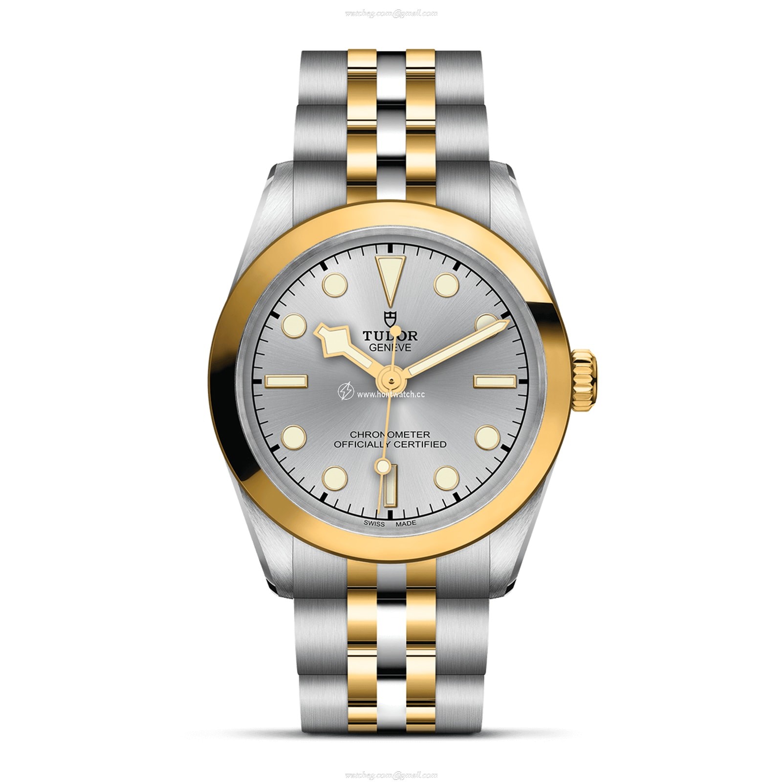 Tudor Black Bay M79603-0002 | 31mm Silver Dial | Automatic Replica Watch