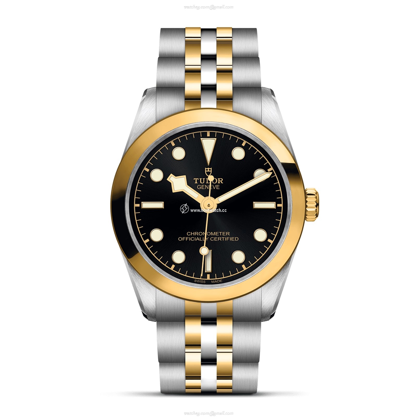 Tudor Black Bay M79603-0001 | 31mm Automatic | Steel & Gold Replica