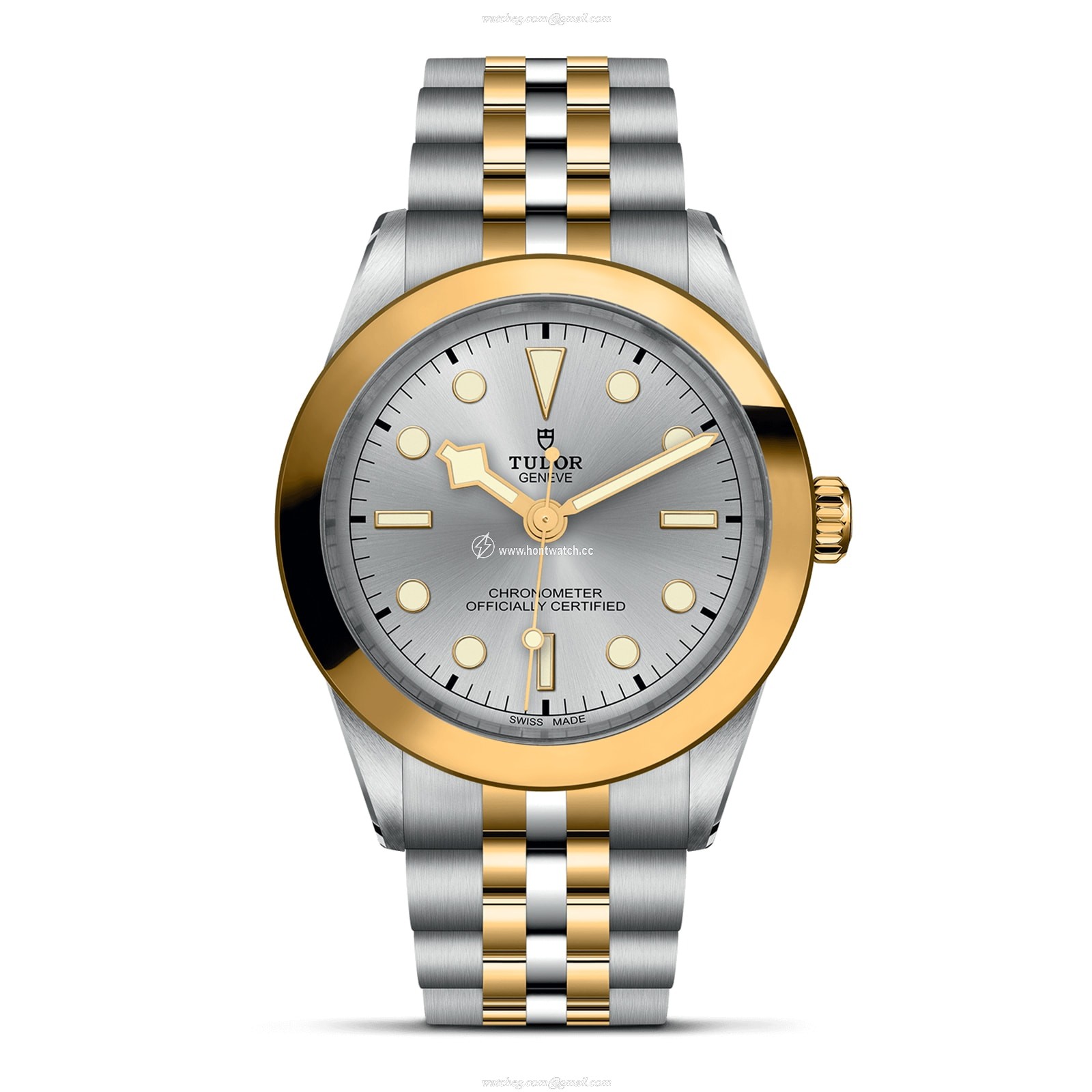 Tudor Black Bay M79663-0002 | 39mm Automatic Silver Dial | Steel & Gold