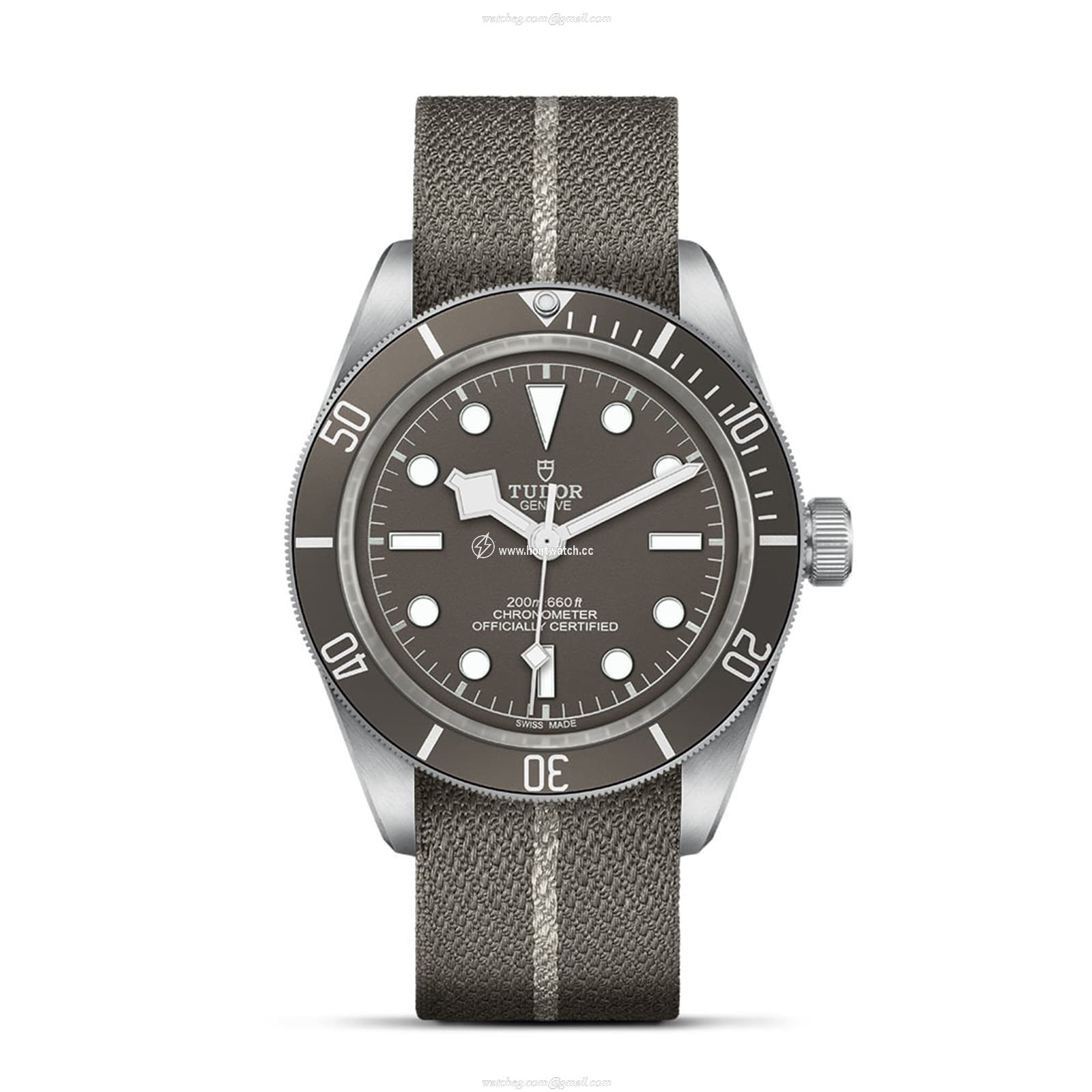 Tudor Black Bay M79010SG-0002 Silver Automatic Watch | 39mm Taupe Dial