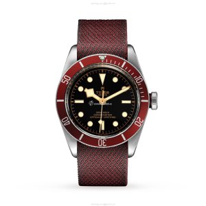 Tudor Black Bay M79230R-0009 | 41mm Automatic Watch | Stainless Steel