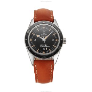 Omega Seamaster 233.32.41.21.01.002 | 41mm Black Automatic Watch
