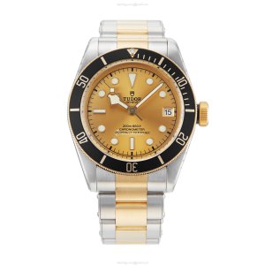 Tudor Black Bay M79733N-0004 | 41mm Champagne Dial | Automatic Watch