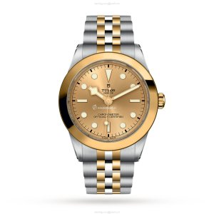 Tudor Black Bay M79663-0005 | 39mm Steel & Gold Automatic Watch