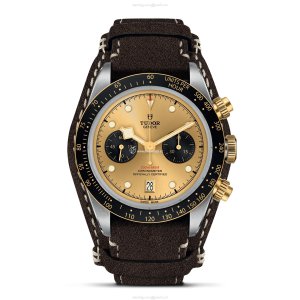 Tudor Black Bay M79363N-0008 | 41mm Steel & Gold Automatic Watch