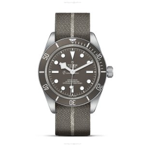 Tudor Black Bay M79010SG-0002 Silver Automatic Watch | 39mm Taupe Dial