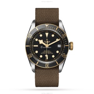 Tudor Black Bay M79733N-0005 | 41mm Automatic Watch | Stainless Steel