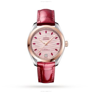 Omega Seamaster Aqua Terra 38mm | Red Dial | Automatic | Steel & Gold